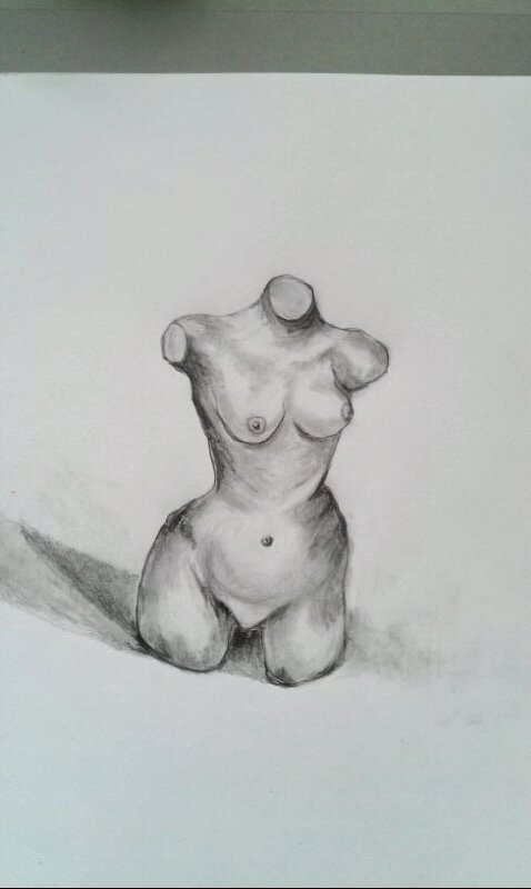 Torso, 2014