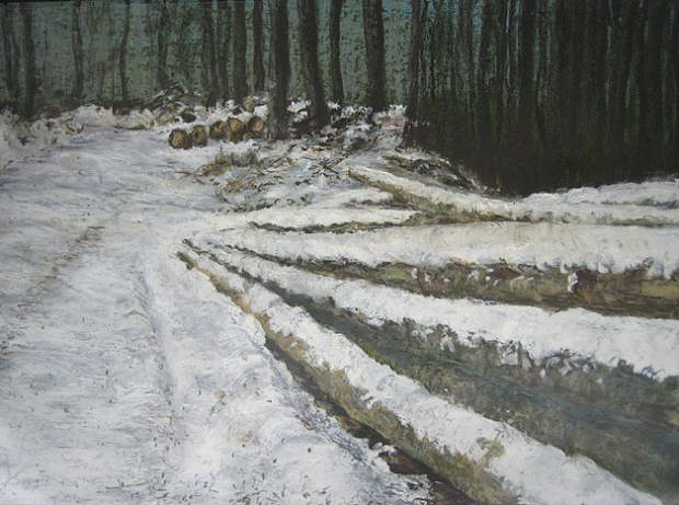 Weg im verschneiten Wald, 2007