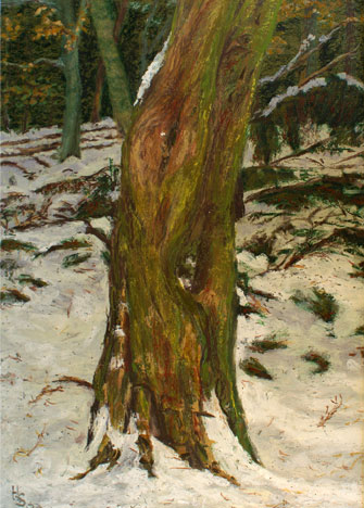 Kastanie im Winterwald , 2007